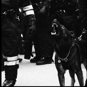 打女生光屁股网站推荐
