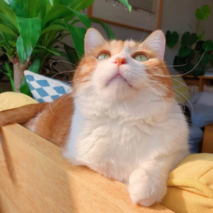 打女生光屁股网站推荐
