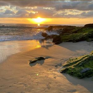 打女生光屁股网站推荐
