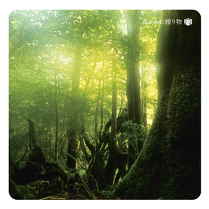 打女生光屁股网站推荐
